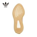 Adidas Yeezy Boost 350 V2 Sesame 全新椰子芝麻大地配色