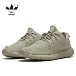Adidas Yeezy Boost 350 卡其 椰子350 V1 Oxford Tan AQ2661