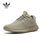 Adidas Yeezy Boost 350 卡其 椰子350 V1 Oxford Tan AQ2661