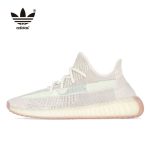 Adidas Yeezy Boost 350 V2 Citrin 拼接椰子 反光 FW3042